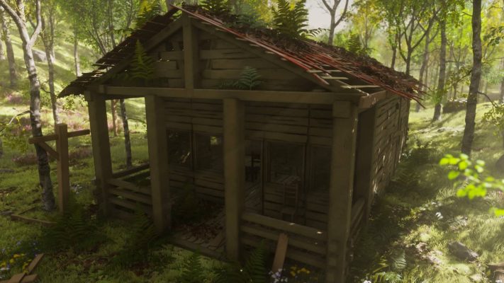 شرایط ساختن کلبه چوبی جنگلی