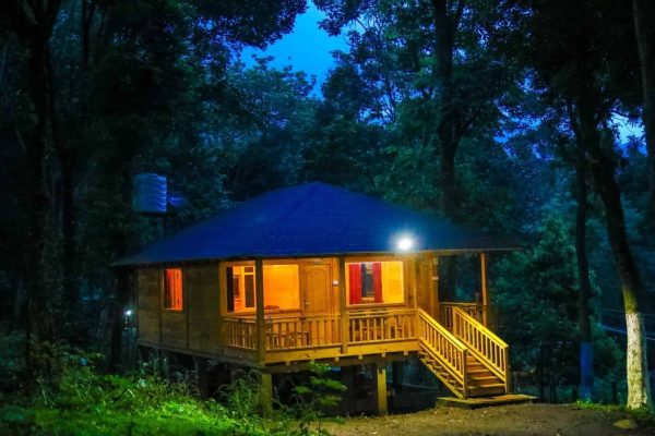 کلبه چوبی جدید